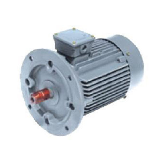 Three Phase Squirrel Cage Induction Motor - Microteknik